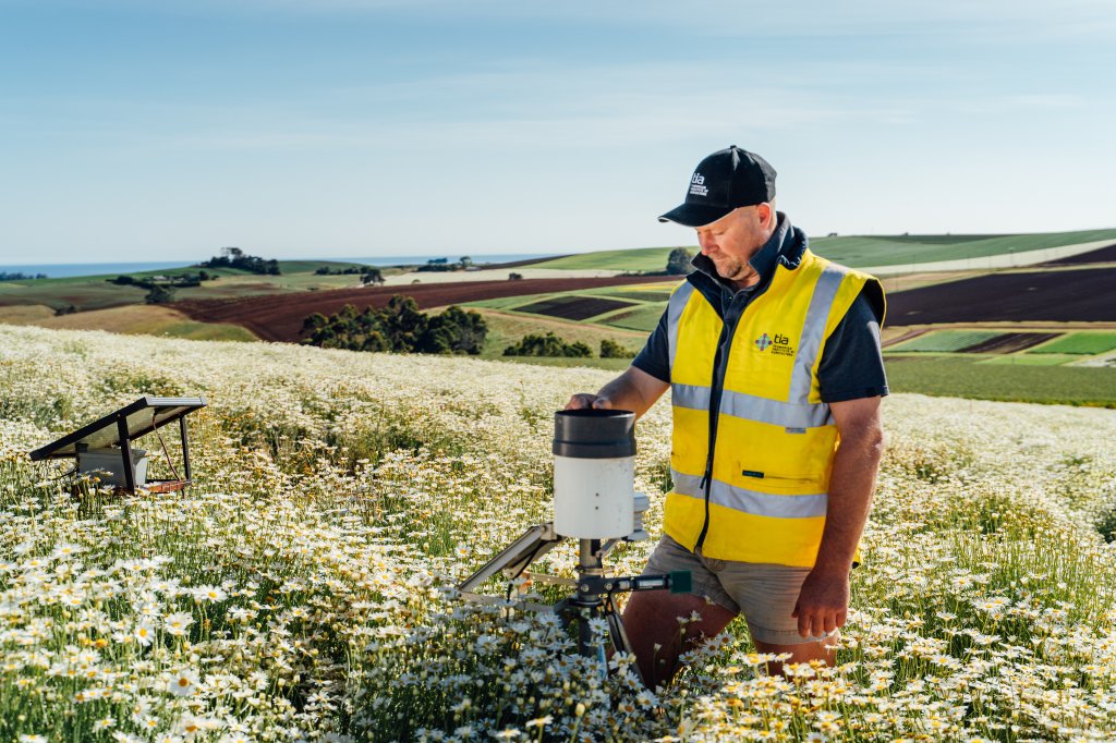 Carl’s saving the Bees