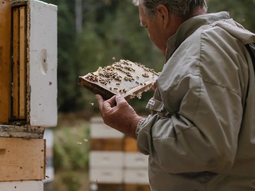 BeeKeeper