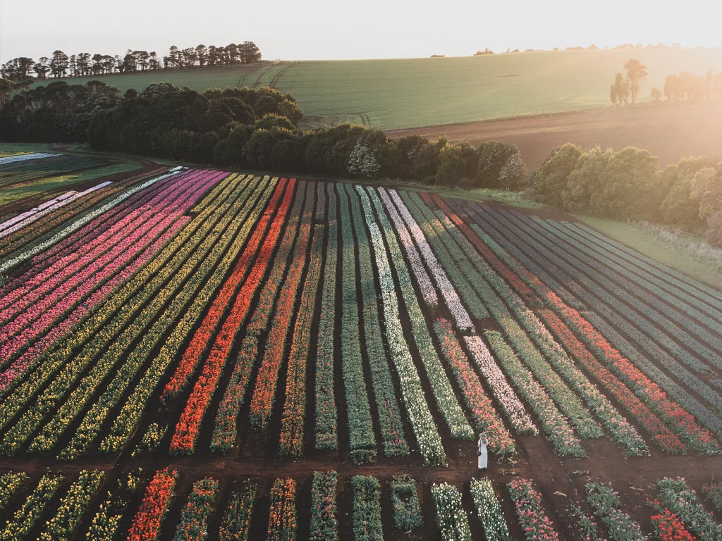 Broadacre Farmer