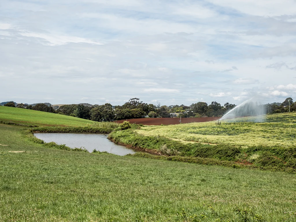 Land and water technician