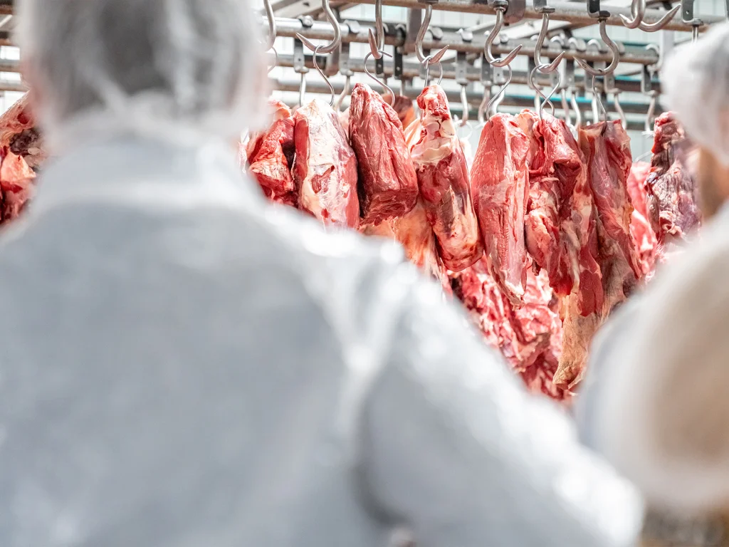 Meat Processer