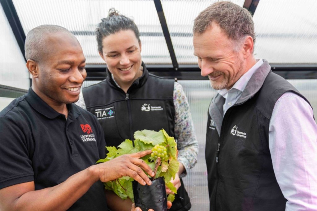 From curious child to crop scientist – Tory Clarke