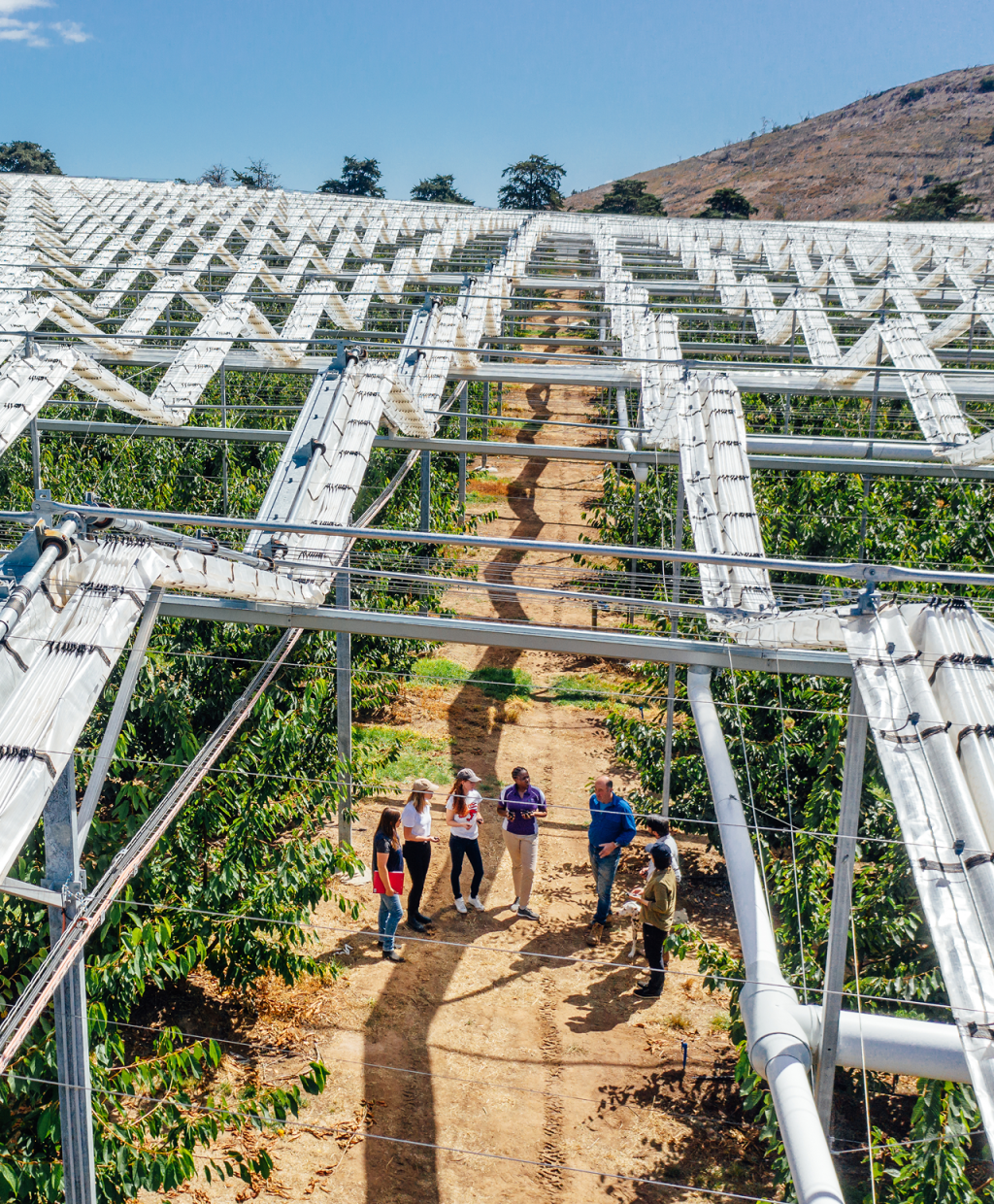 Pathways